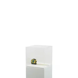 Plexiglas beschermkap | plexiglas stolp | maquettekap op maat
