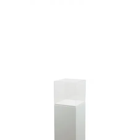 Plexiglas beschermkap | plexiglas stolp | maquettekap op maat