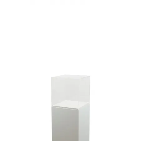 Plexiglas beschermkap | plexiglas stolp | maquettekap op maat