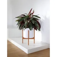 Butiksvinduespodie, sort 60 x 60 x 10 cm