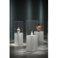 Plexiglas beschermkap | plexiglas stolp | maquettekap op maat