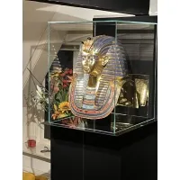 Glazen beschermkap | glazen stolp voor op sokkel | museumvitrine