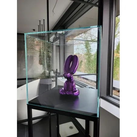 Glazen beschermkap | glazen stolp voor op sokkel | museumvitrine