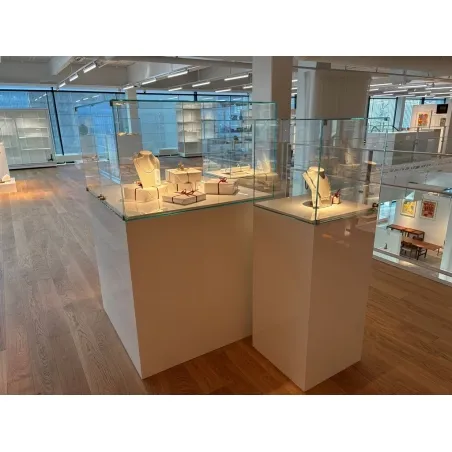 vitrine med dør