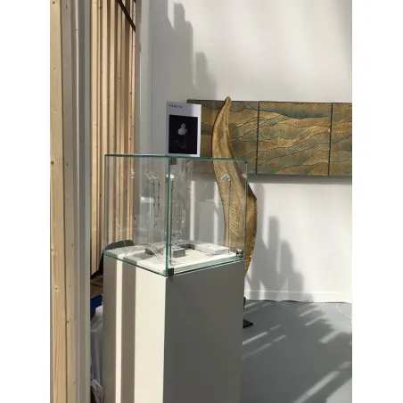 Glasmontre med dør