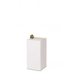 sokkels MDF blank overschilderbaar | zuilen MDF blank wit voorgegr