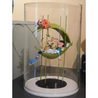 Plexiglas montre rund, D50 cm, H50 cm