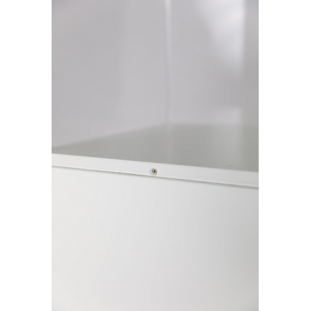 Plexiglas beschermkap | plexiglas stolp | maquettekap op maat