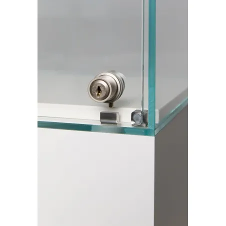 vitrine med dør
