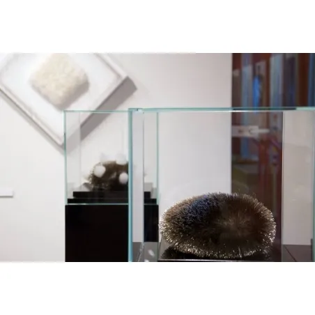 Glazen beschermkap | glazen stolp voor op sokkel | museumvitrine